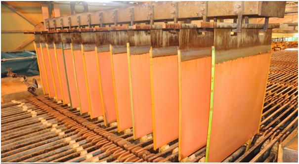 IMAGE635158046165942732 درک ارزش حقیقی ورق مس